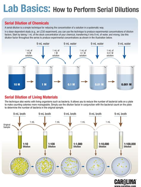 drop-test experiments dilution|dilution tube lab procedure.